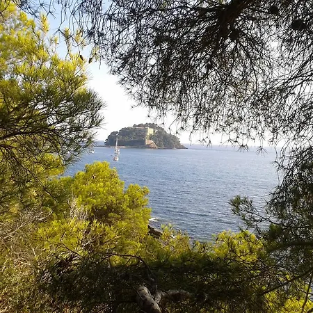 Les Palmiers Otel 3*